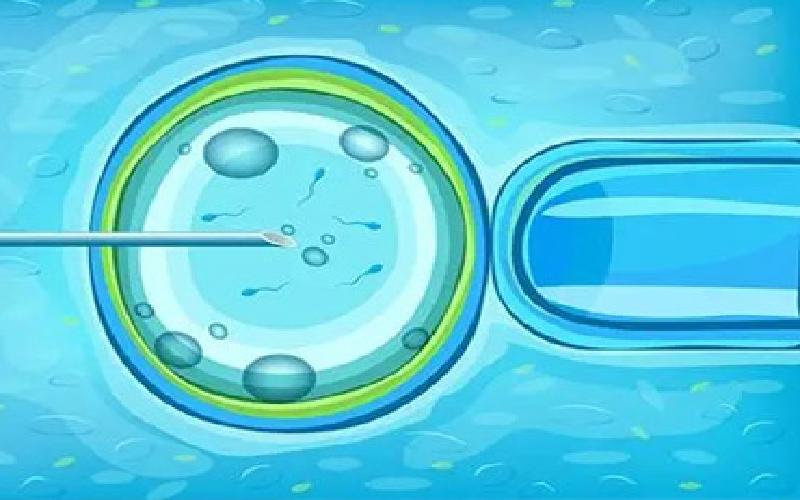 试管男方补锌吗代生